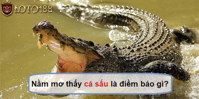 mơ thấy cá sấu đánh con gì giải mã giấc mơ