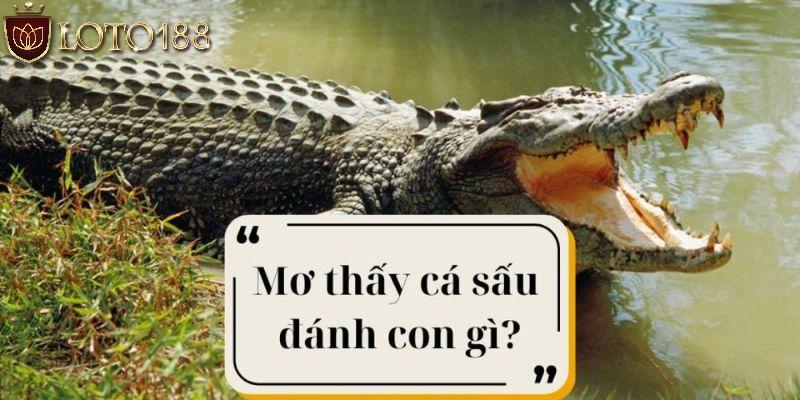 mơ thấy cá sâu đánh con gì những con số may mắn nên vào tiền