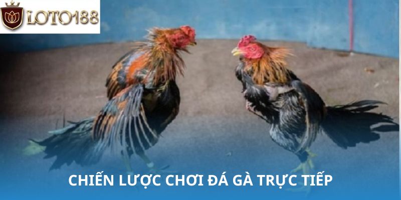 Hiến kế sách luôn thắng dành cho anh em